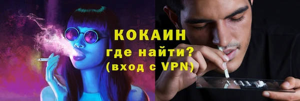 индика Михайловск