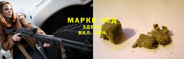 ГАЛЛЮЦИНОГЕННЫЕ ГРИБЫ Магас
