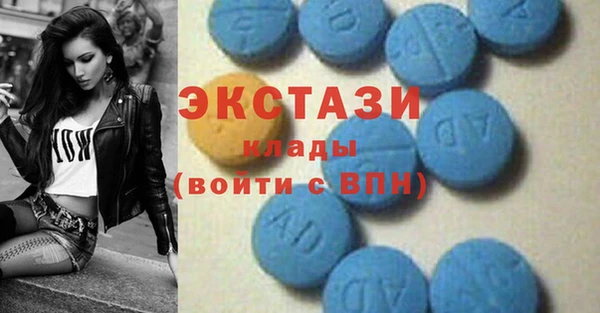 индика Михайловск