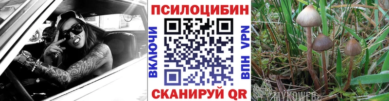 Псилоцибиновые грибы ЛСД  Купить где  Котлас 